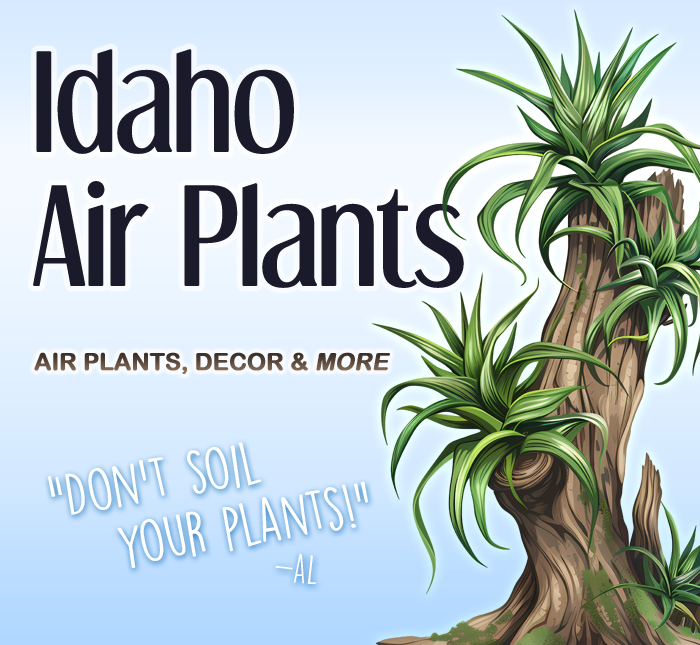 Idaho Air Plants